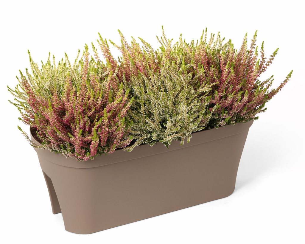 Fence Pot Smile - anthracite 50cm - with plant2 copie-1.jpg