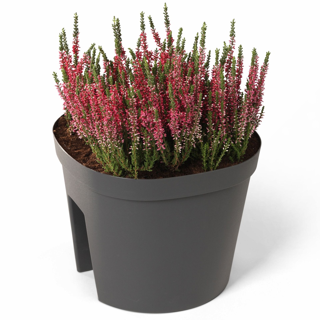 Fence Pot Smile 30cm - anthracite -1-1.jpg