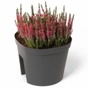 Fence Pot Smile 30cm - anthracite -1-1.jpg