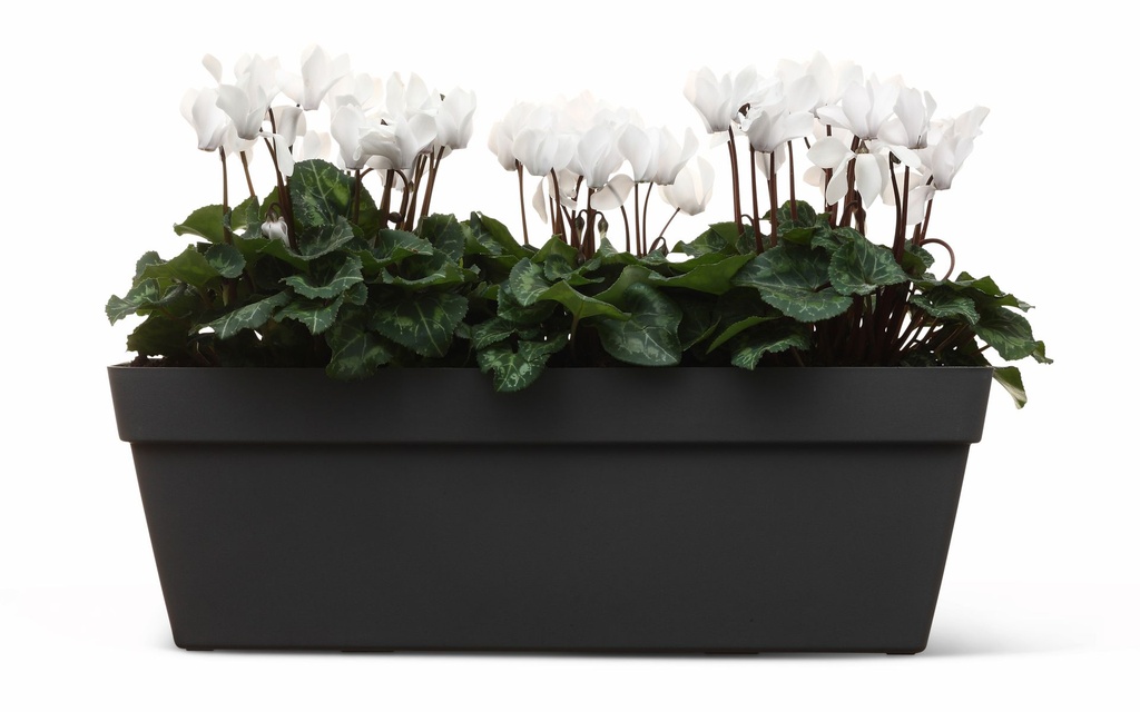 Balcony Happy - anthracite - with plant 3-1.jpg