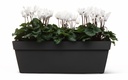 Balcony Happy - anthracite - with plant 3-1.jpg