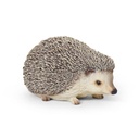 11154179 - hedgehog -3-1 1-1.jpg