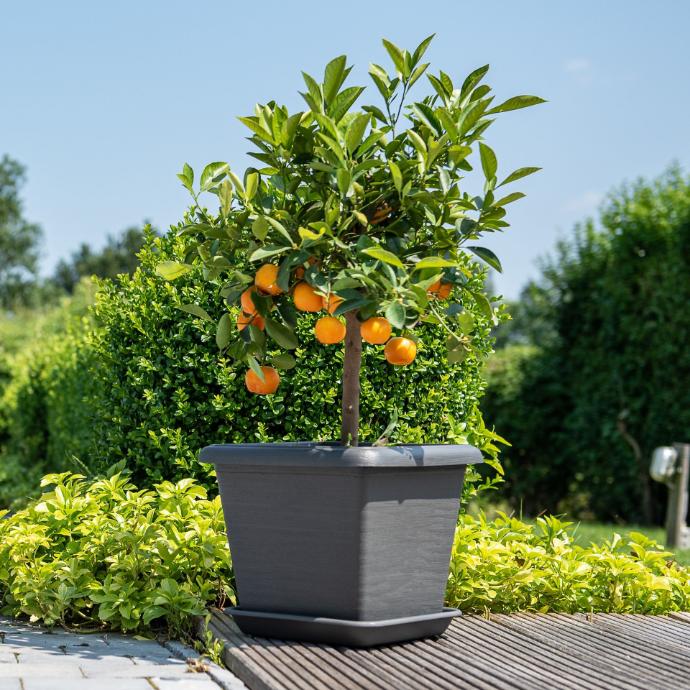 Pot carré Teramo – effet pierre naturel (4 tailles: de 25x25 à 35x35cm)