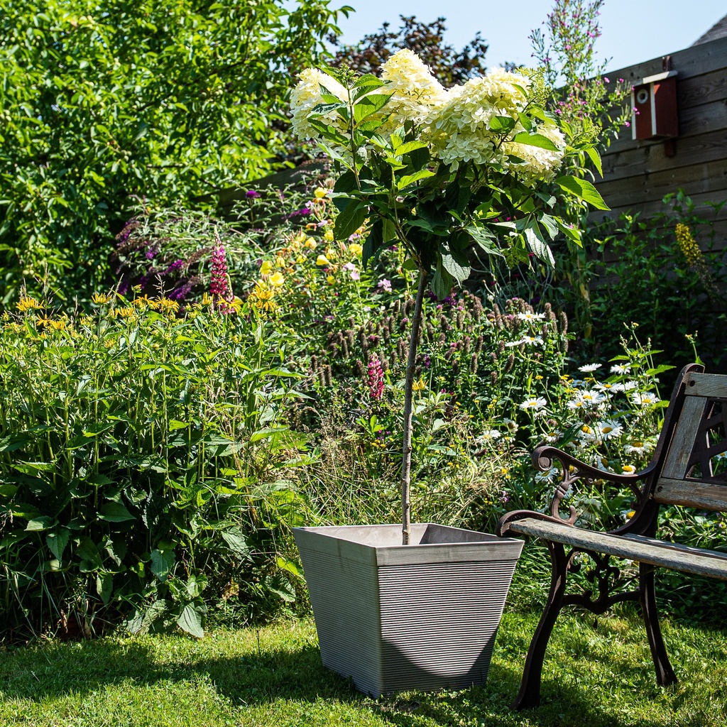 Recycled Green Care IMPACT square pots – structured design (3 sizes: from 29x29xH26cm to 39x39xH33cm)