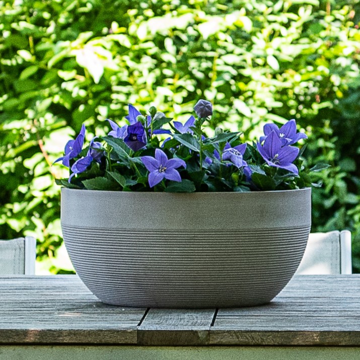 [02042707] Recycled Green Care IMPACT bowls – low and modern (2 sizes: Ø25xH12cm and Ø35xH16cm) (Taupe, Ø25h12cm)