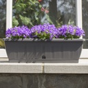 Balconnière Terraflor – Formats généreux & robustesse (3 tailles: L60-80-100cm)