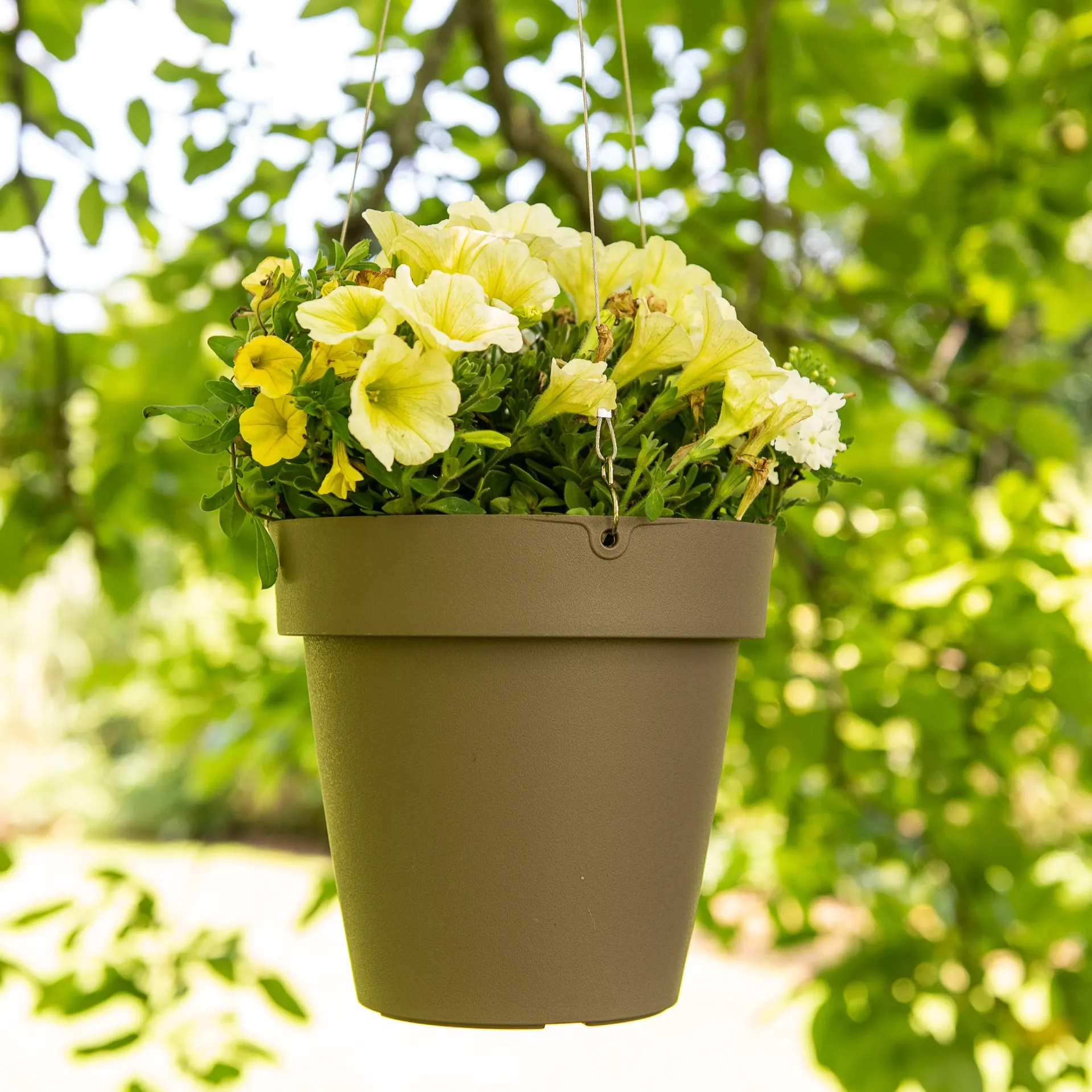[05012307] Pot suspendu Star Air – avec réserve d’eau (Ø20xH18,4cm) (Taupe)