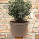 Happy goot pot – met ingebouwd waterreservoir (Ø22xH16cm)