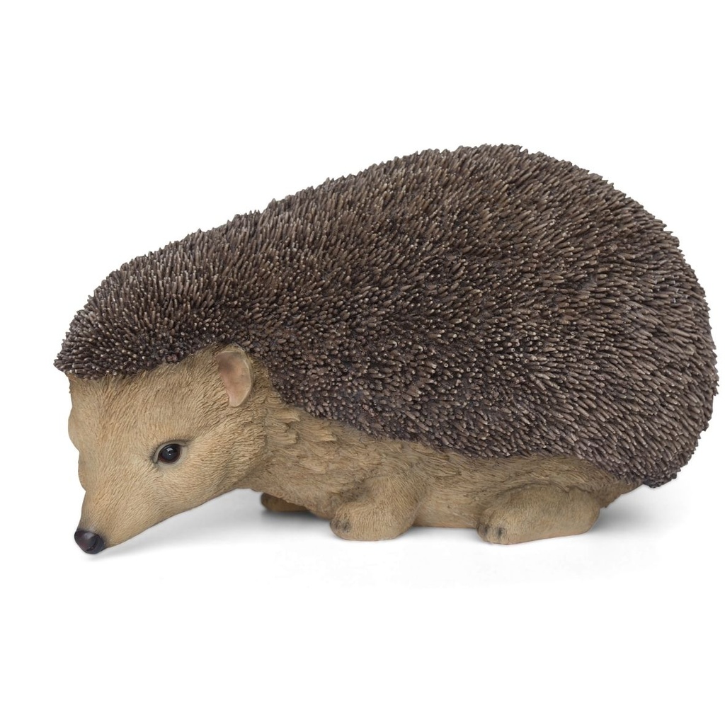 Egel decoratieve beeldjes – Realistisch polyresin (3 maten: van 13x8xH9cm tot 43x27xH26cm)
