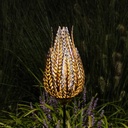 SOLAIRE BORNE FOUGERE 16H46