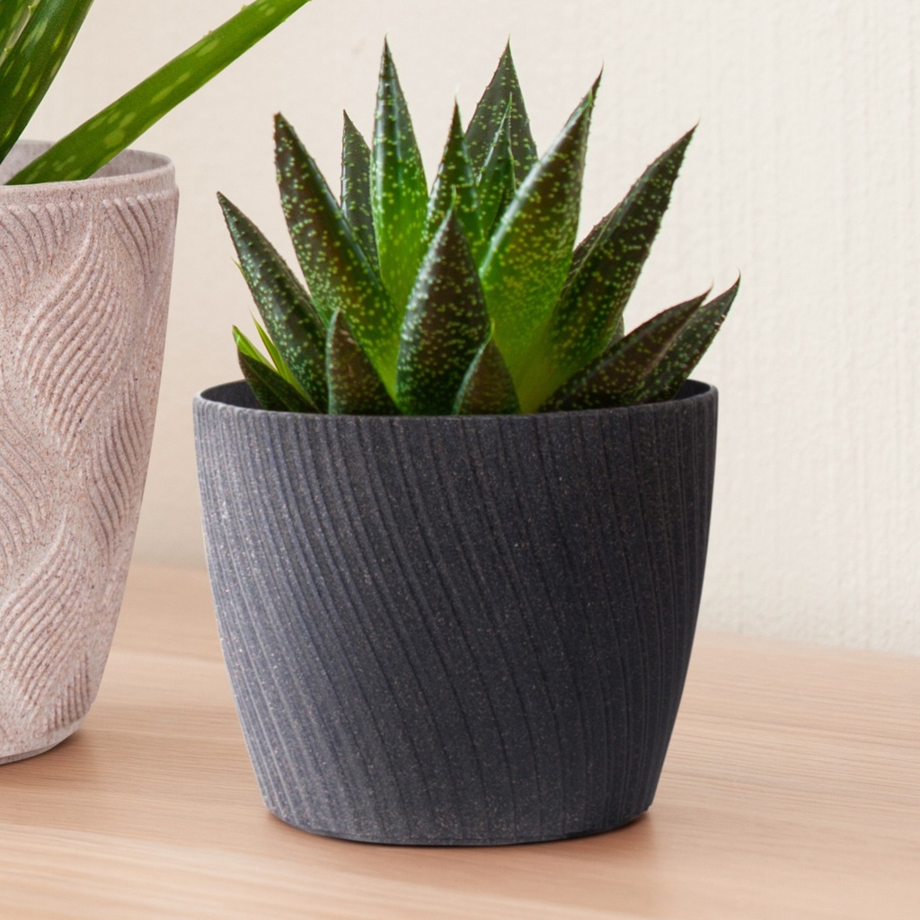 Cache-pot Twist Wood (5 tailles: de Ø13xH11cm à Ø23xH19cm)