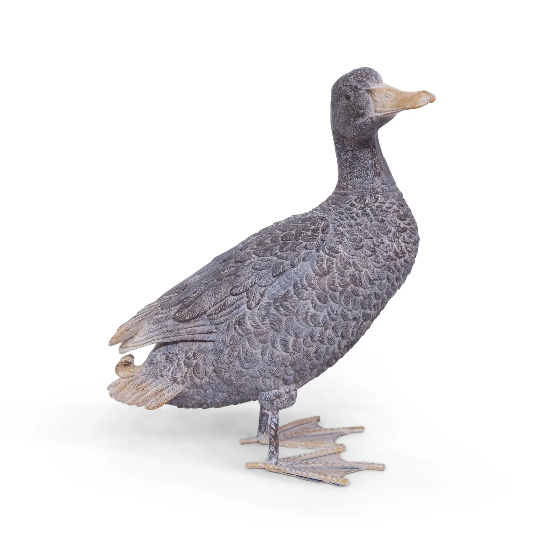 WEB-POLY DUCKS ROYAL
