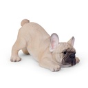 WEB-POLY PLAYING PUPS