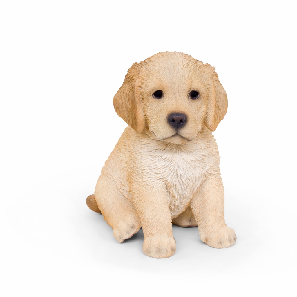 [11154095-A] Realistische zittende puppy's – sculpturen in naturlijk polyresin (13x10xH16cm) (Labrador | 15x12h16cm)