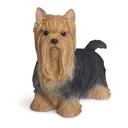 Chiens Yorkshire réalistes en résine – debout ou couché (28x11xH16cm)