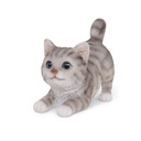 Mini kittens in polyresin – various positions (7x3h6cm)