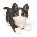 Kittens in polyresin – playful positions and various colours (20x8xH20cm)