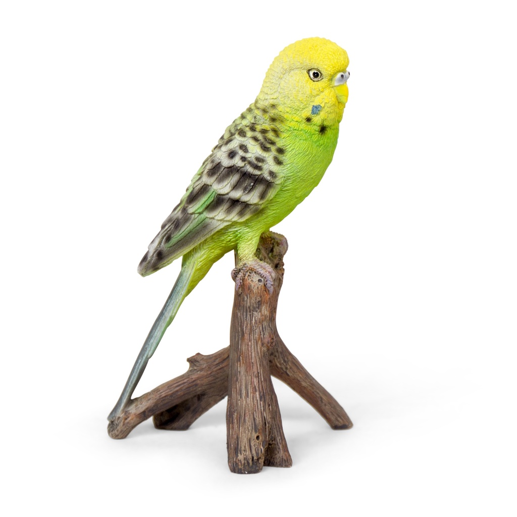 WEB-POLY BUDGERIGAR 10X8H17CM