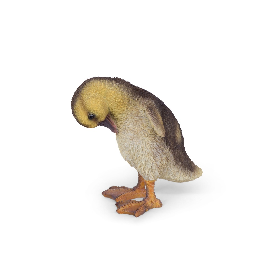 Decorative duck figurines (8x7xH13cm)