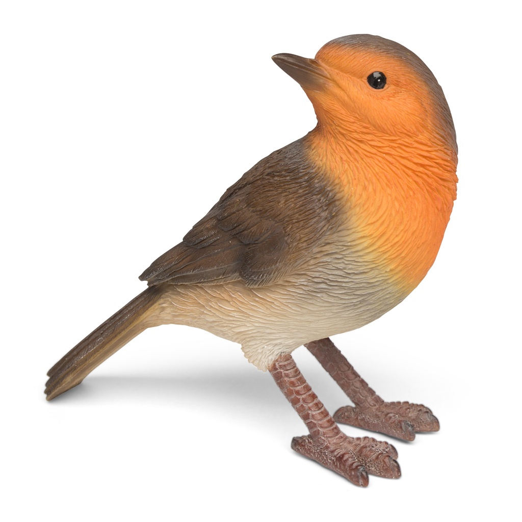 WEB-POLY ROBIN