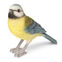 WEB-POLY BLUE TIT