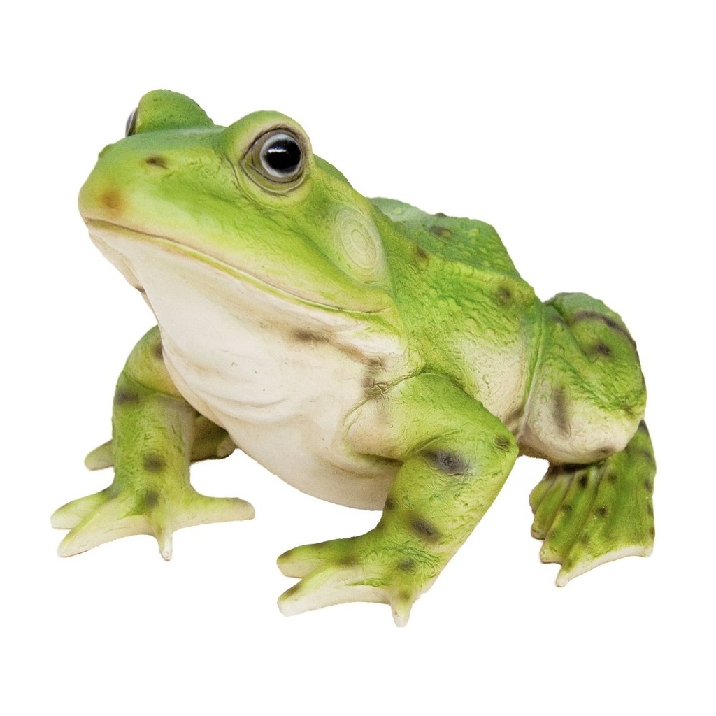 [11153009] Dekorativer Frosch in Polyresin – mittlere Größe (21x18h13,5cm)