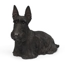 Scottish Terrier hond sculptuur in polyresin (38x22h27cm)