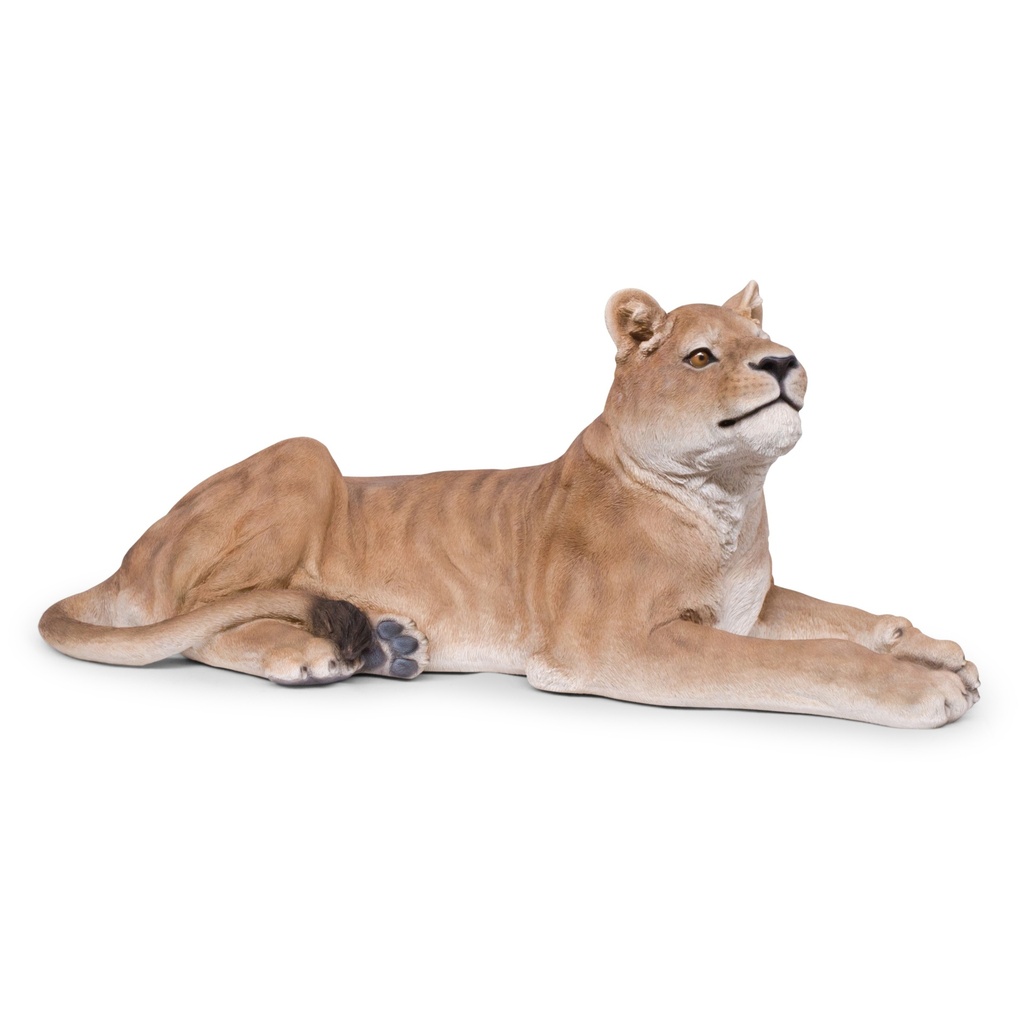 [11154056] Liggende leeuwin sculptuur – wilde grootsheid (116x47h46cm)