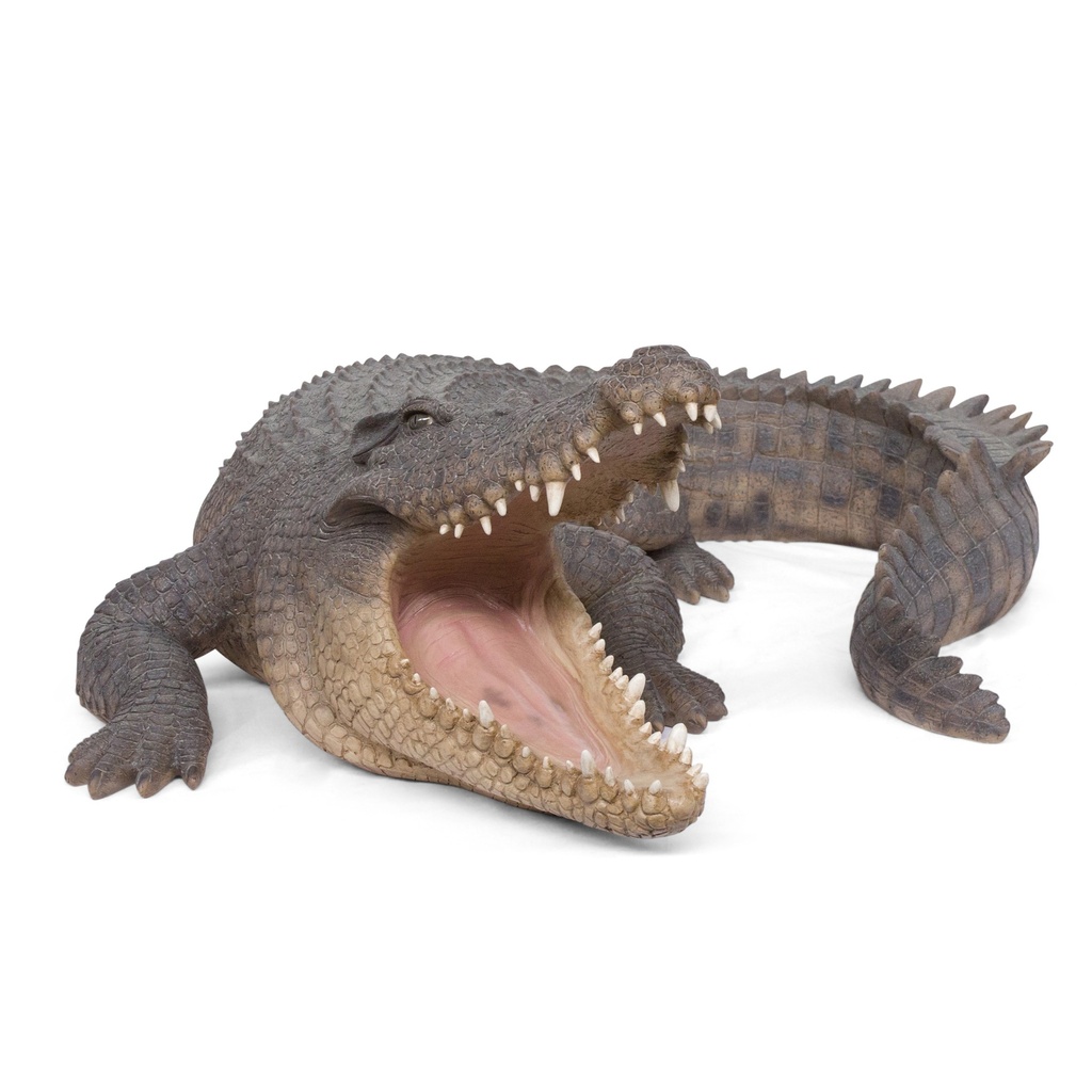 [11154070] Sculpture crocodile réaliste – effet saisissant (123x91h43cm)