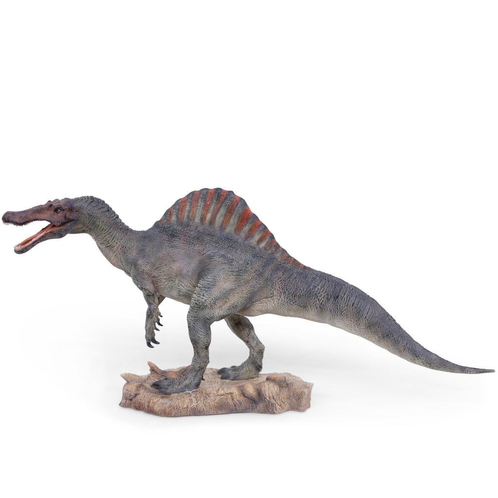 [11154093] Spinosaurus dinosaurus sculptuur – realistisch prehistorisch (77x17,5h36cm)