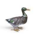 METAL CANARD COLVERT