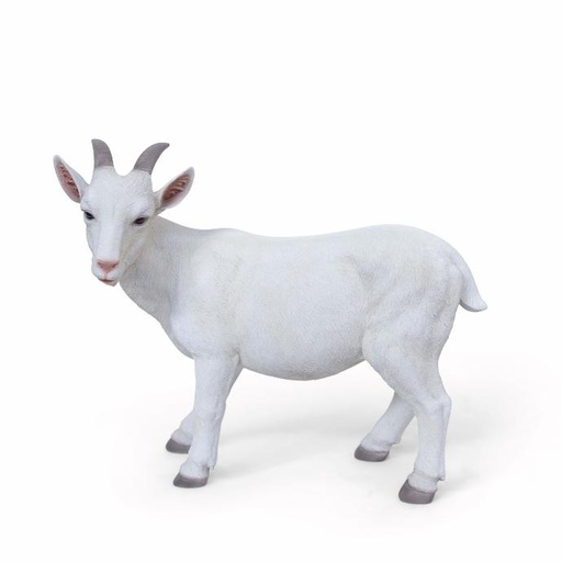 [11154161] POLYRESIN GOAT XL 59X27H50