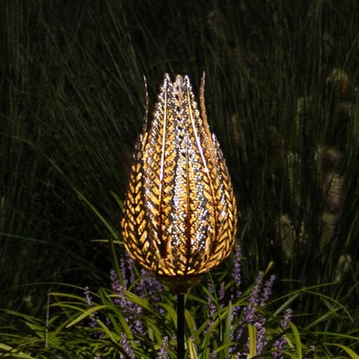 [70706548] SOLAR OP STANG VAREN 16H46