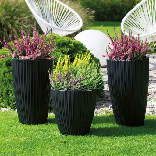 POT FANCY