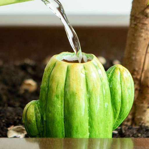 WEB-CERAMIC WATERING SPIKES