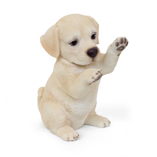 WEB-POLY LABRADOR PUPS