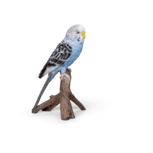 WEB-POLY BUDGERIGAR 10X8H17CM