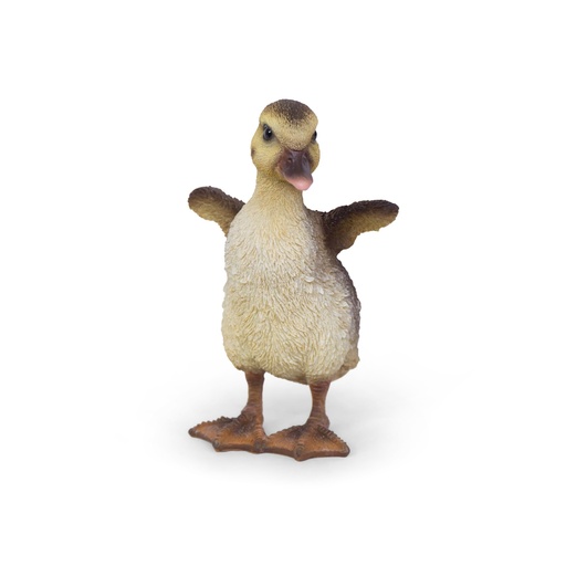 WEB-POLY BABY DUCK