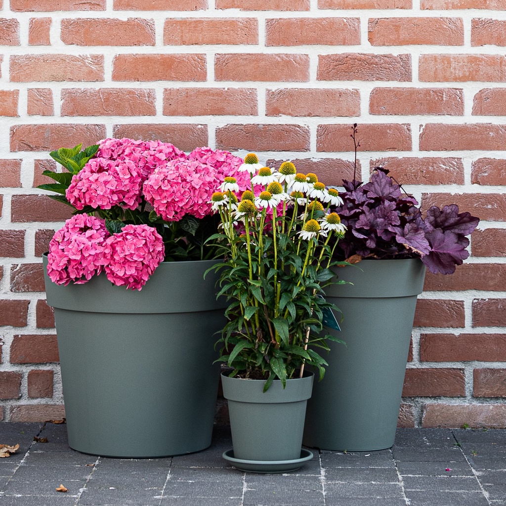 STAR Pot – contemporary and versatile design