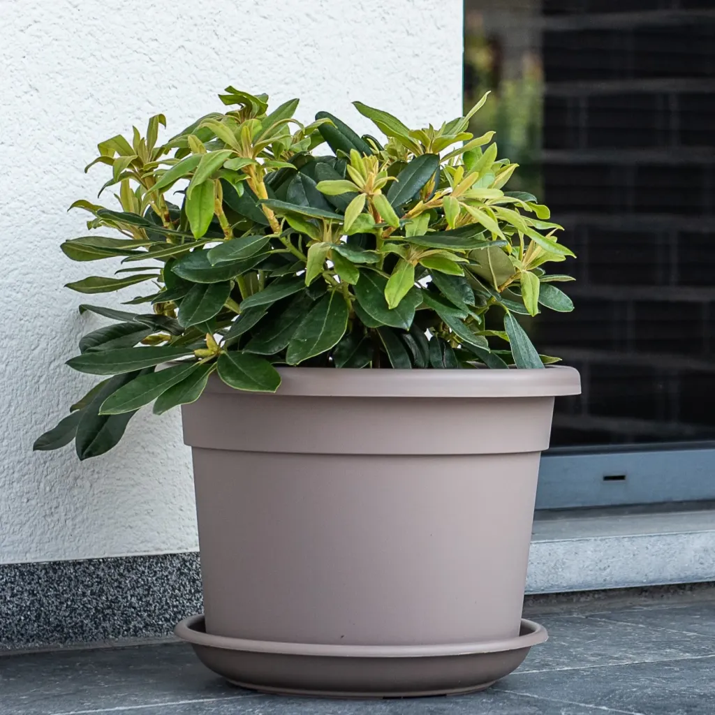 Pot Cilindro – lignes sobres et tailles généreuses (9 tailles: de Ø20xH14cm à Ø80xH51,7cm)