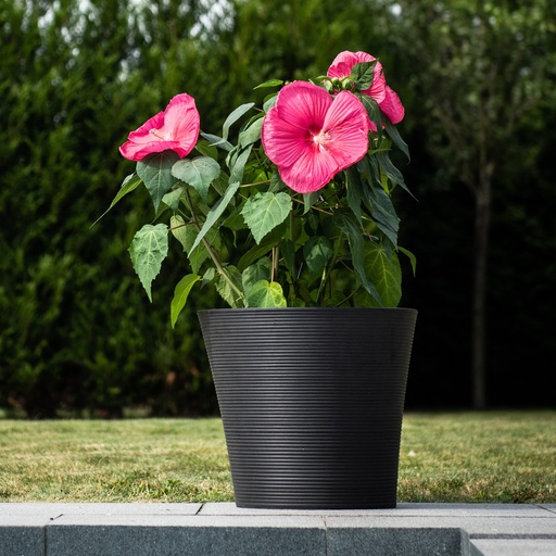 TOPF GREEN CARE SENSE 