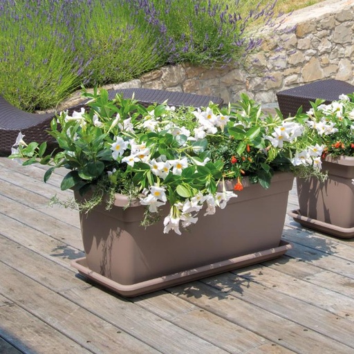 BLUMENKASTEN RECHTECK XXL 