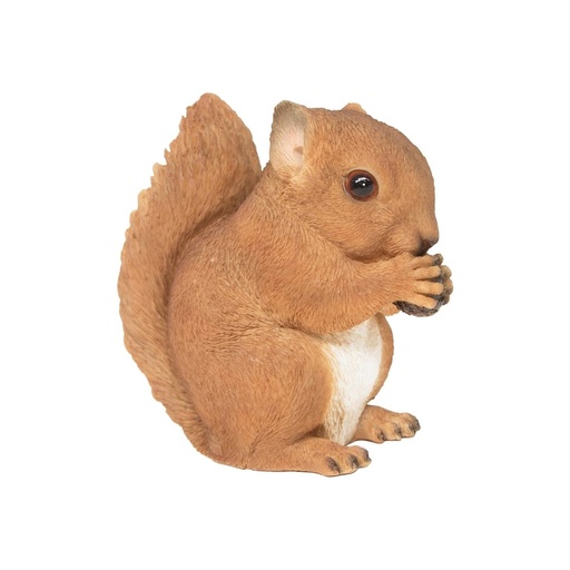 [11152978] POLYRESIN SQUIRREL BABY