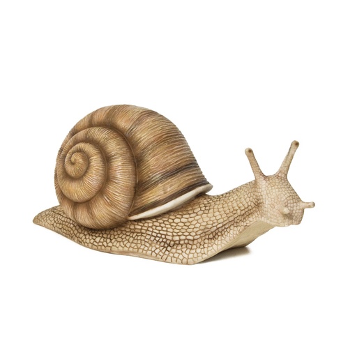 [11153010] POLYRESIN SNAIL