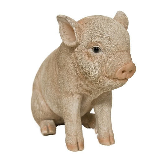 [11153047] POLYRESIN PIG SITTING
