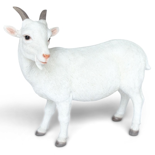 [11153074] POLYRESINE CHEVRE DEBOUT