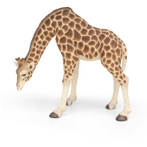 [11153097] POLYRESINE GIRAFE