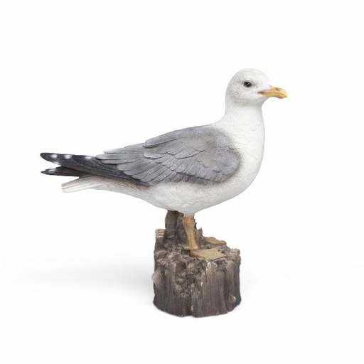 POLYRESINE MOUETTE